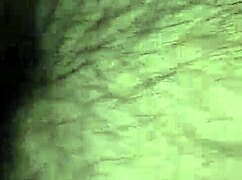 wife sucking in the kitchen