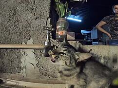 Behind the Scenes with Gabriela Ramos and BettohFitness