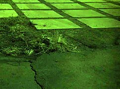 Teen Strips for Boyfriend in Extreme Bondage.