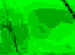 that hot ebony chick got fucked hard after a great blowjob 😍