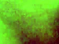 watch me fuck my girlfriend doggystyle with her ass bent over!