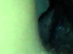 raw fucking in rough pussy cock action