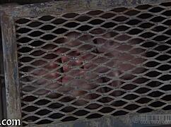 Naughty facial punishment for Angel