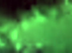 Wifey gets ready for her day