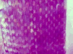 Cheating Wife Caught In Affair!