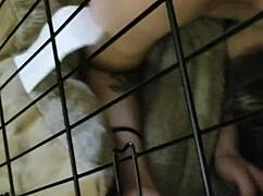 amateur slave gets fucked in cage 😩