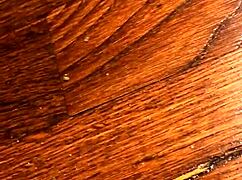 licking those dirty feet in a wild fetish session