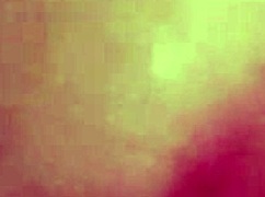 Sexy Perrita Poses Seductively