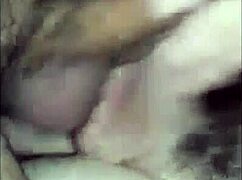 cwb is crazy about those sao paulo cocks