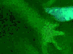 Thick ebony, bend over for that doggystyle