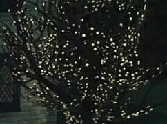 I punish treason in sims 4 halloween