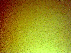 Mexican Amateur Bent Over In Doggystyle