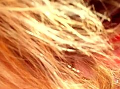 just doing the yard work with a blowjob