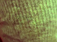 Libertarian Slut Devours Kirchnerist Cock With Intense Passion