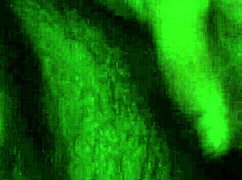 big dick masturbation with a monster cock in action