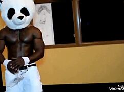 Male strippers prove their straight appeal