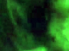 Honeysuckle Loves Sucking Dick