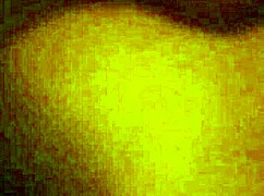 me getting fucked by a latina shemale in anal sex