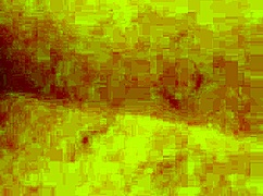 me getting fucked by a latina shemale in anal sex