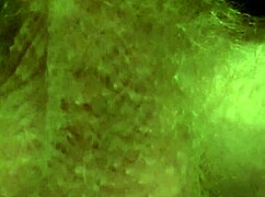 Look at this big monster cock