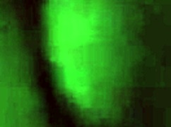 Girlfriend gives foot job with cumshot!