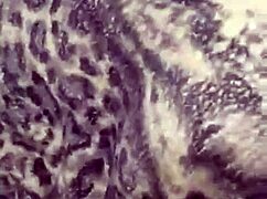 me le meti a la cama a mi hijastra last night 😏