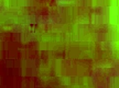 i accidentally trimmed the retro tattoo riding scene