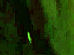 Bollywood Dancing Ritual with Erotic Teasing and Nudity