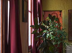 Teaser - afternoon delight