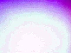 Ferkelz online features a sex duel with blowjobs and group action