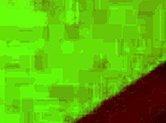 passionate encounter in red room