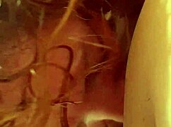 Roxanne and xander's slutty cock sucking