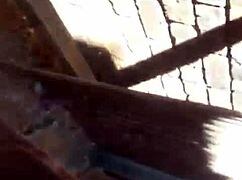 Feeling So Wet During Outdoor Quickie With Neighbor's Husband