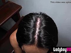 omg, hired this cute long-legged asian ladyboy slut for a blowjob sesh, so good