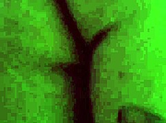 Recopilacion de videos de ladyboy natural mostrando el culo y cuerpo