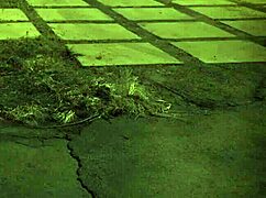 Teen tries outdoor double penetration for the first time.