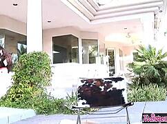 i can't get enough of misty anderson's cowgirl tits bouncing