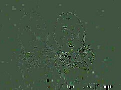 Transform Into A Sissy Servant Girl For Better Looks