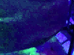 Husband Shares Wife In Motel