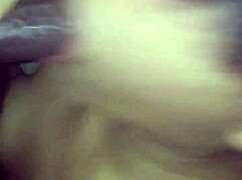 Latina Amateur Blowjob With Black Cock