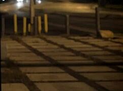 Extreme Big Butt and Two Teens Serve Their Dominant Master.