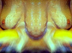 milf bathes sensually in shower, massaging ass in slow motion mirror view.