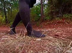 Follow My Footsteps Along The Path In The Evening Lonely Forest