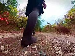 Follow My Footsteps Along The Path In The Evening Lonely Forest