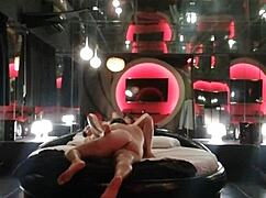 Veteran enjoys sucking my lady's pussy for money in home video.