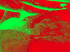 Caroleta Roots Invites Two Colleagues for Intense Fucking and Cumshot in Pitbull Porn with Alex Lima