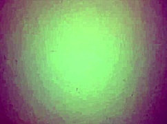 Colombian milf gives rica mamada with big ass spreading.