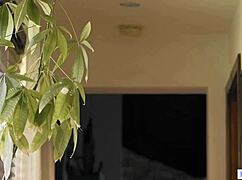 Caught in a Lesbian Threesome: Busty Eliza Ibarra Chooses Both Gabbie and Lulu!