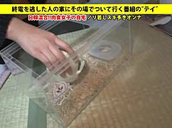 Hairless Asian Squirting After Intense Blowjob!