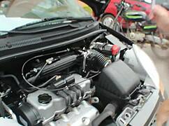 i sucked the mechanic's cock 😜